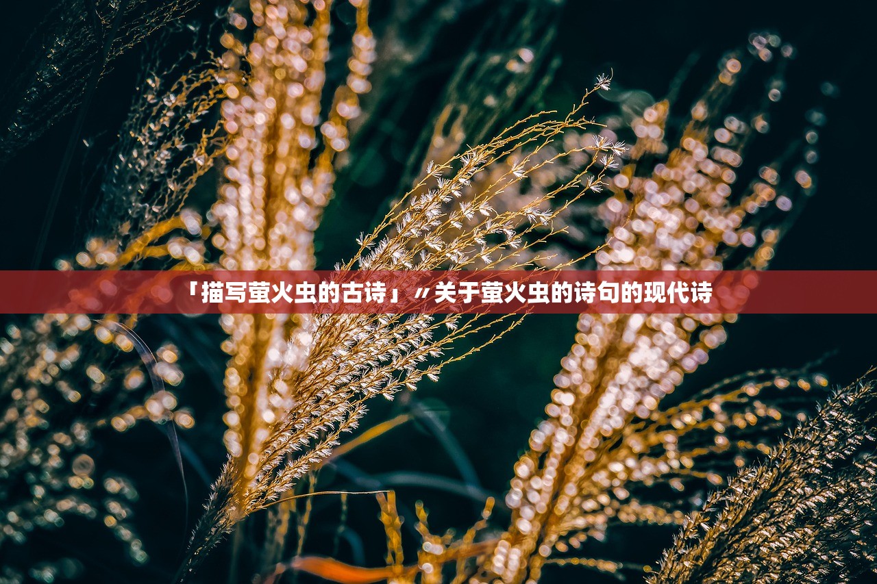 「描写萤火虫的古诗」〃关于萤火虫的诗句的现代诗 「描写萤火虫的古诗」〃关于萤火虫的诗句的现代诗