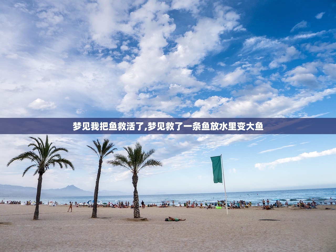 梦见我把鱼救活了,梦见救了一条鱼放水里变大鱼 梦见我把鱼救活了,梦见救了一条鱼放水里变大鱼