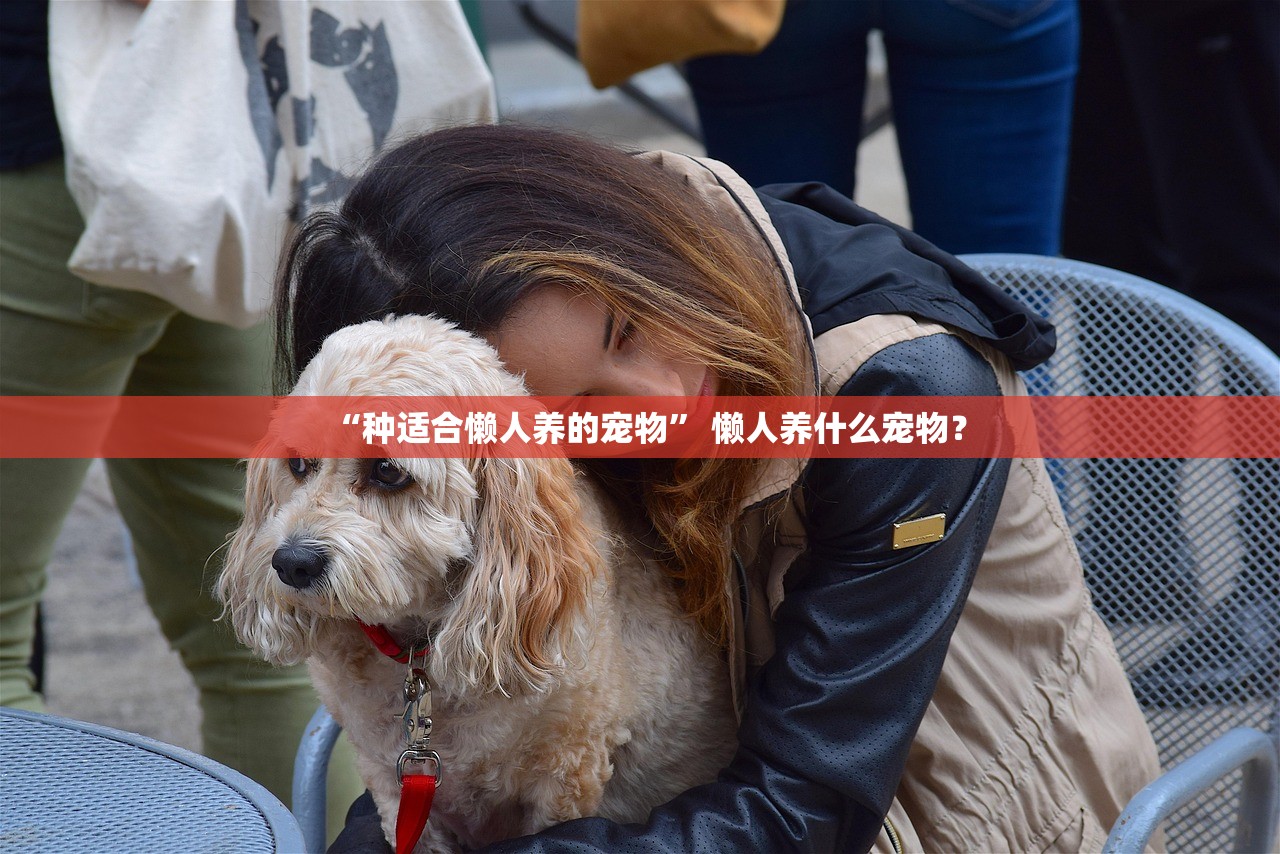 “种适合懒人养的宠物	” 懒人养什么宠物？