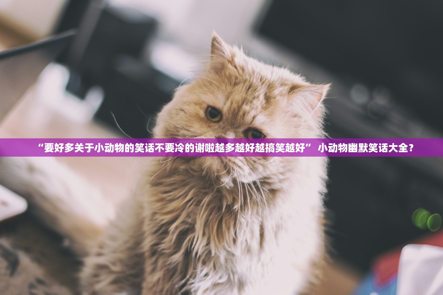 “要好多关于小动物的笑话不要冷的谢啦越多越好越搞笑越好	” 小动物幽默笑话大全？