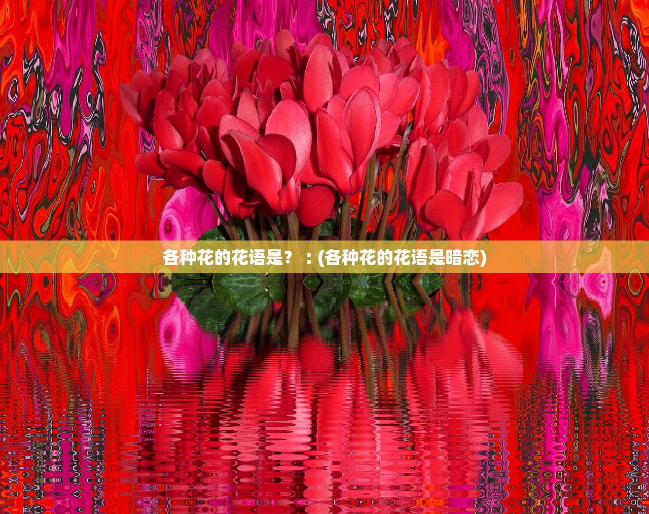各种花的花语是?︰(各种花的花语是暗恋) 各种花的花语是?︰(各种花的花语是暗恋)
