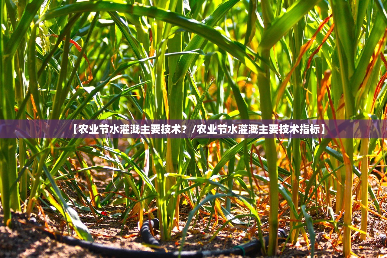 【农业节水灌溉主要技术?/农业节水灌溉主要技术指标】 【农业节水灌溉主要技术?/农业节水灌溉主要技术指标】