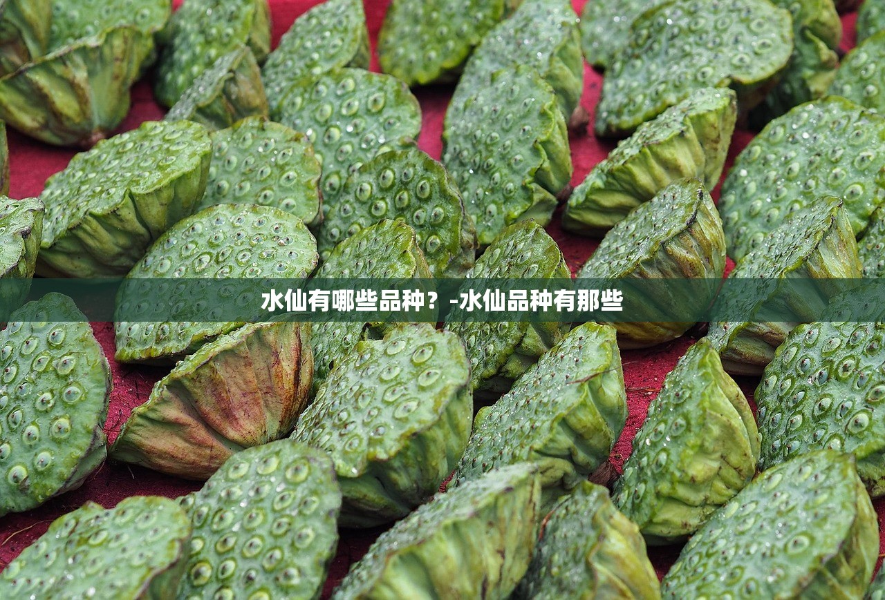 水仙有哪些品种？-水仙品种有那些