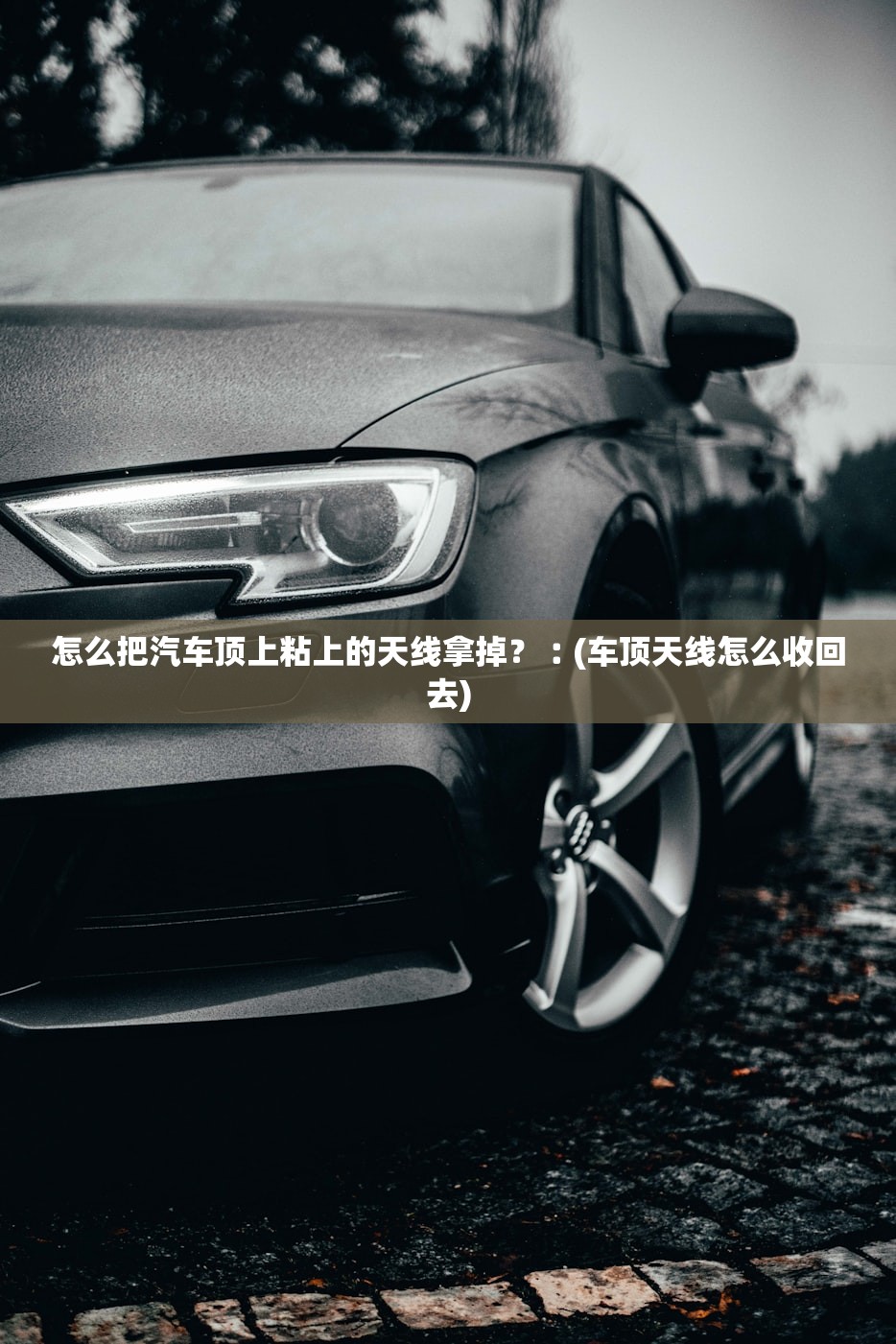 怎么把汽车顶上粘上的天线拿掉？︰(车顶天线怎么收回去)