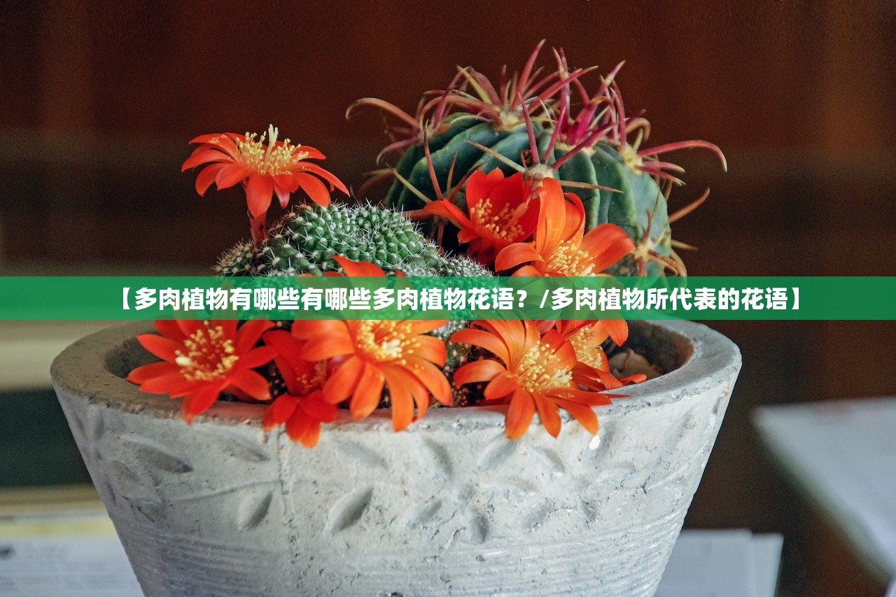 【多肉植物有哪些有哪些多肉植物花语？/多肉植物所代表的花语】