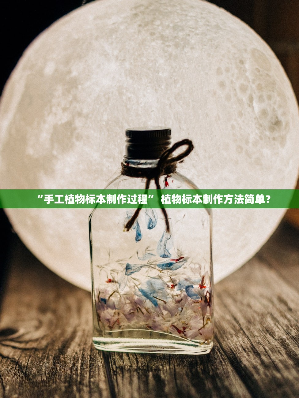 “手工植物标本制作过程” 植物标本制作方法简单？