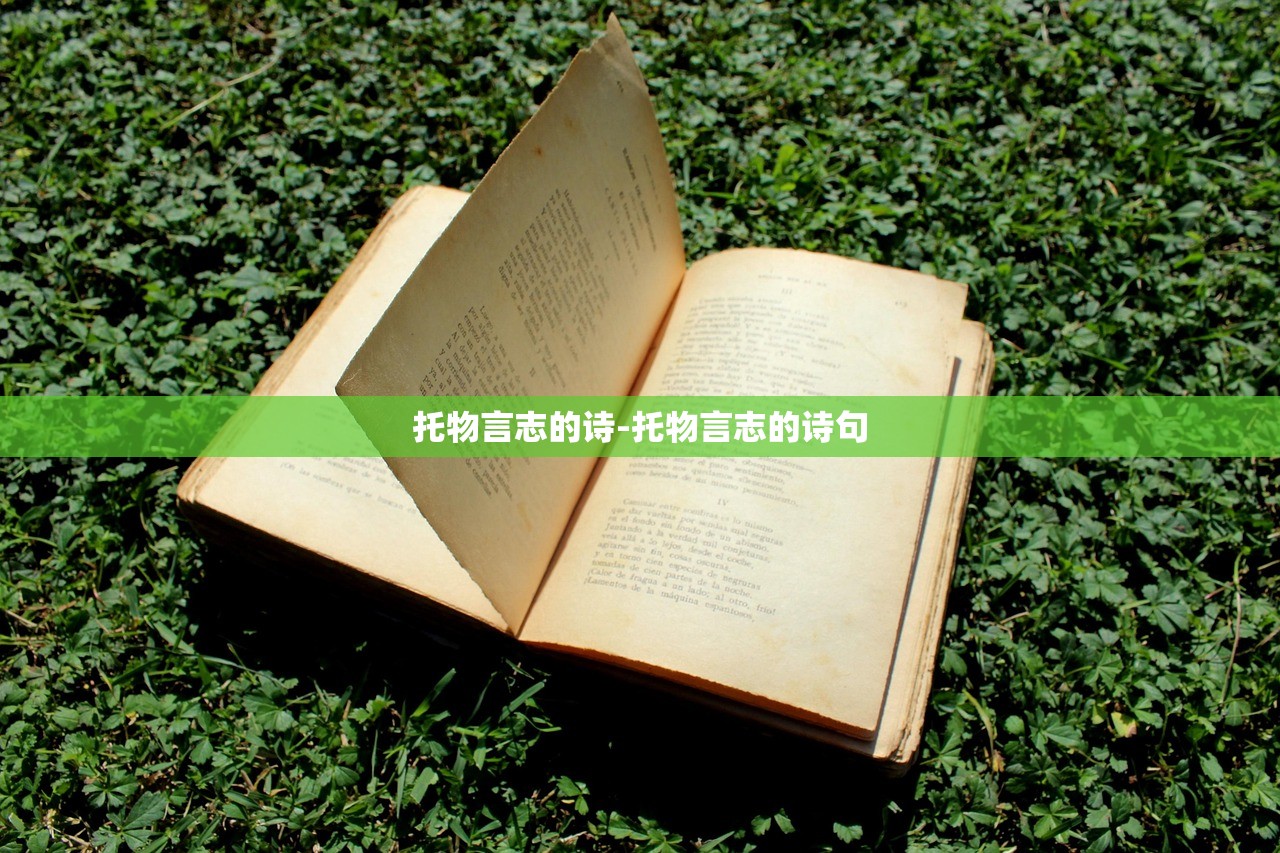 托物言志的诗-托物言志的诗句