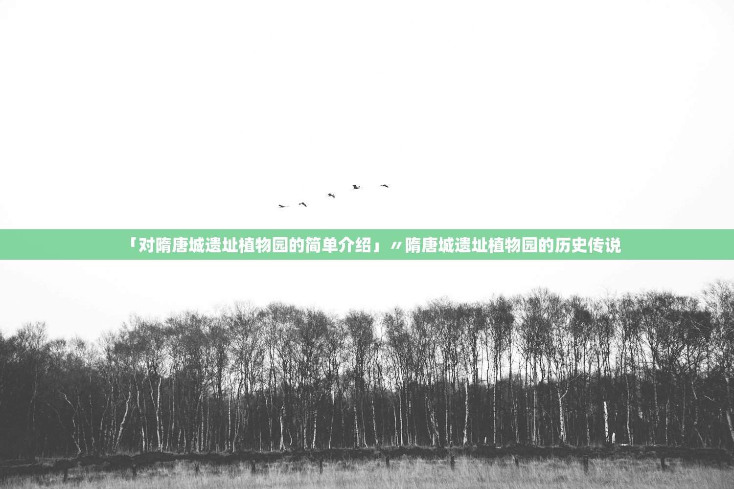 「对隋唐城遗址植物园的简单介绍」〃隋唐城遗址植物园的历史传说