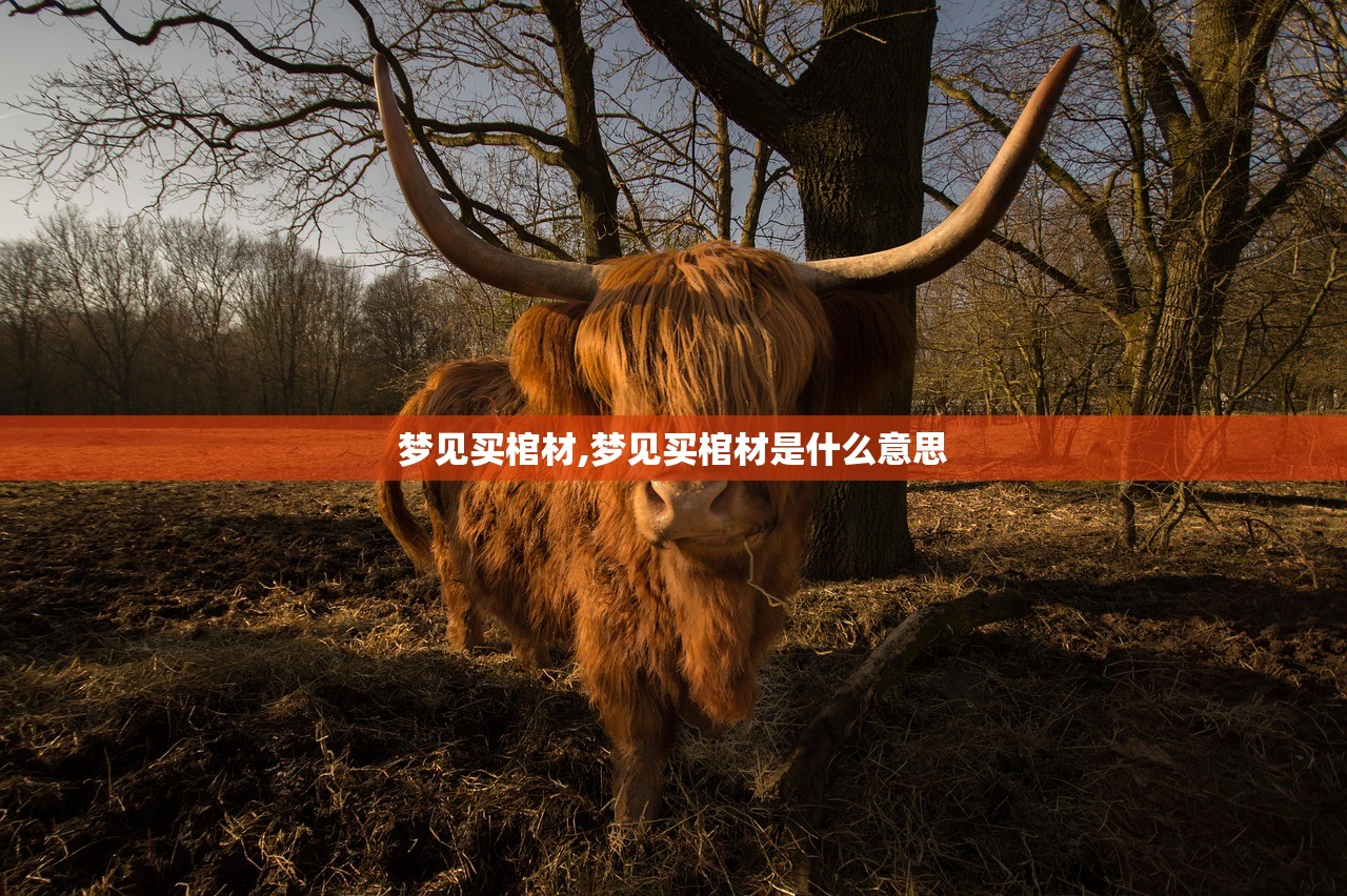 梦见买棺材,梦见买棺材是什么意思 梦见买棺材,梦见买棺材是什么意思