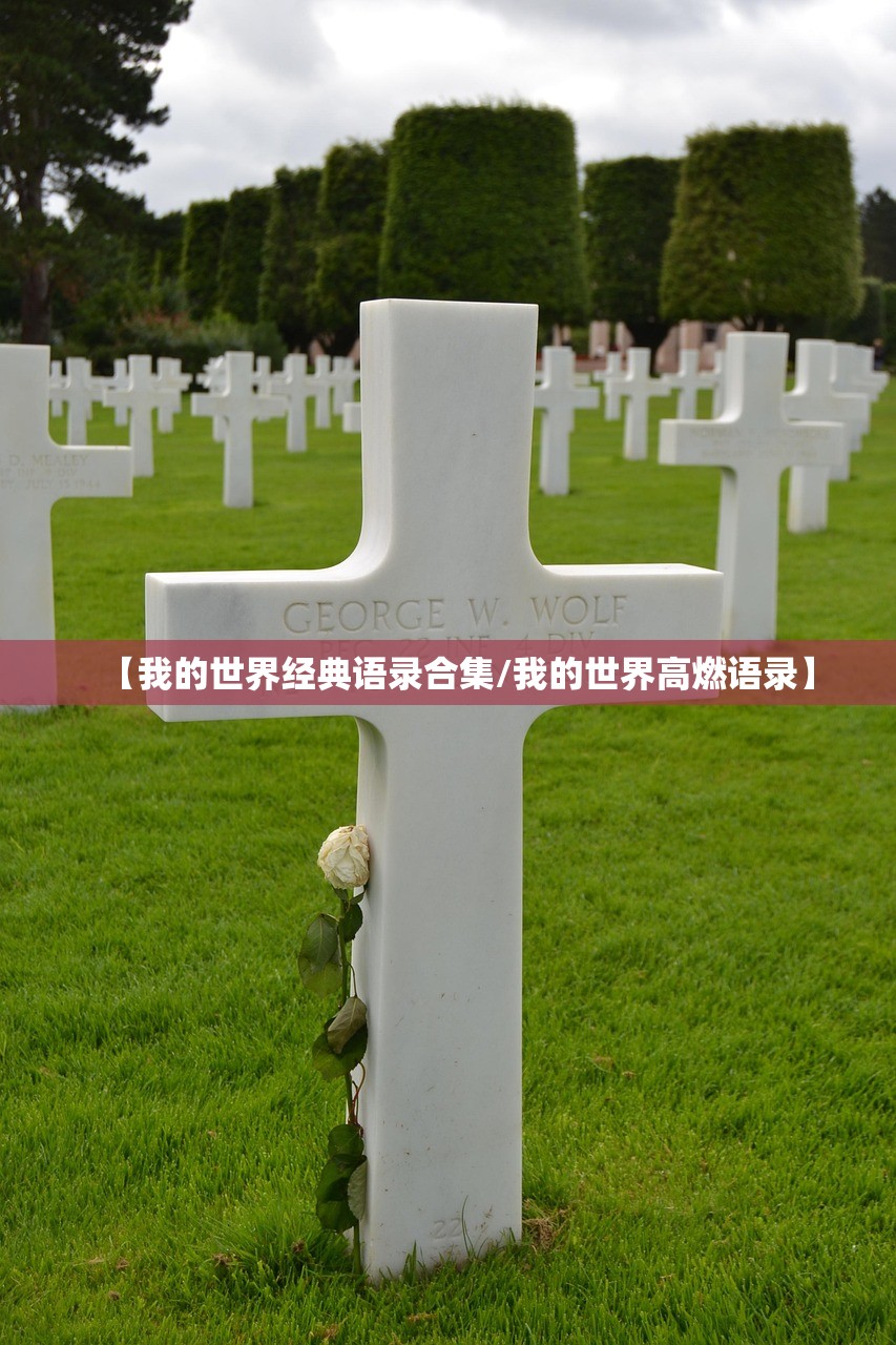 【我的世界经典语录合集/我的世界高燃语录】