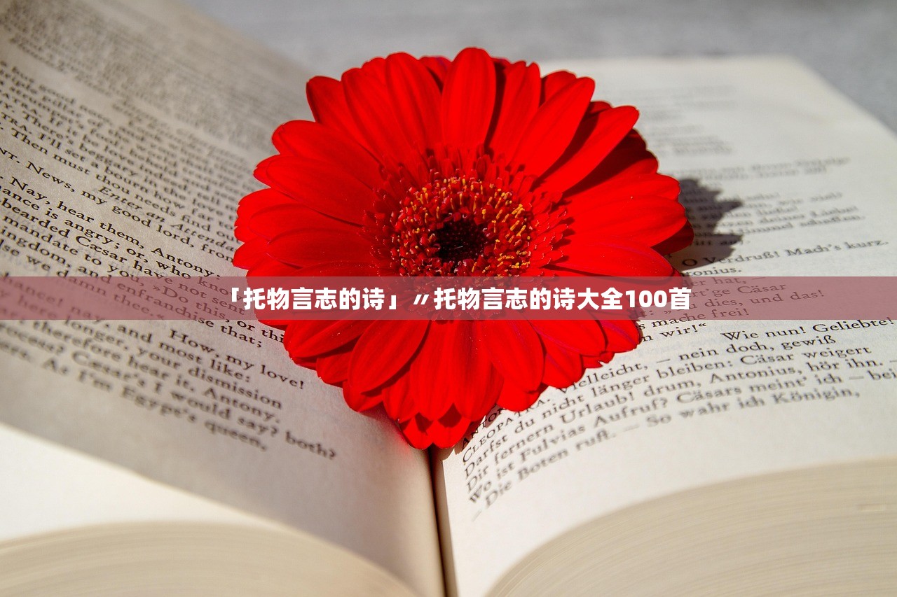 「托物言志的诗」〃托物言志的诗大全100首