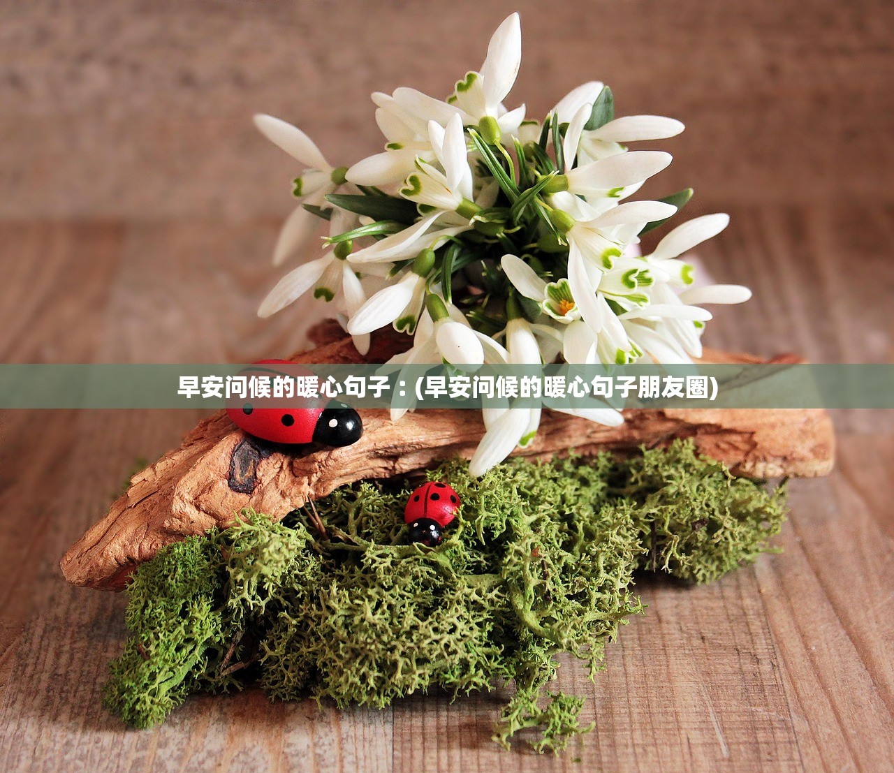 早安问候的暖心句子︰(早安问候的暖心句子朋友圈)