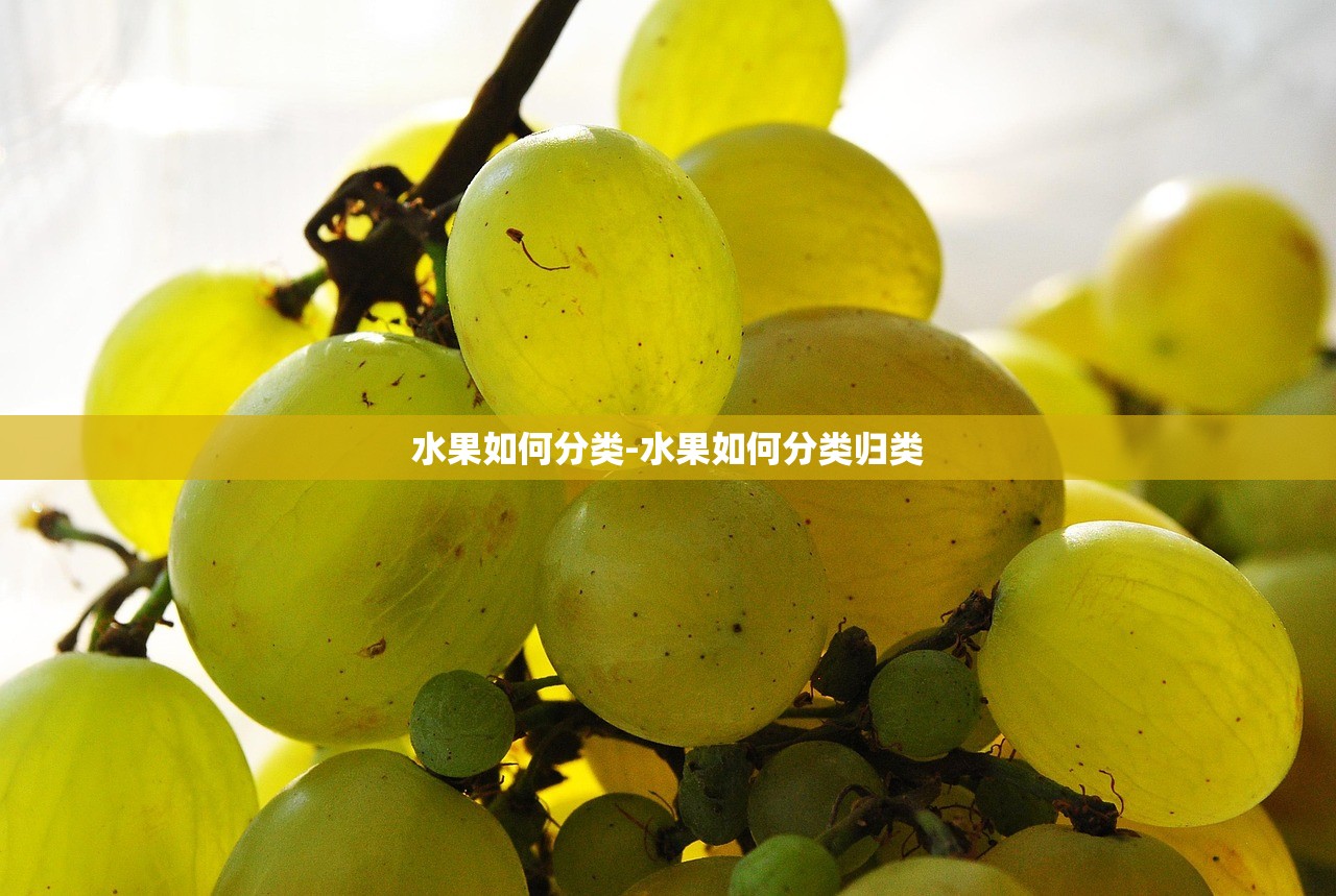 水果如何分类-水果如何分类归类