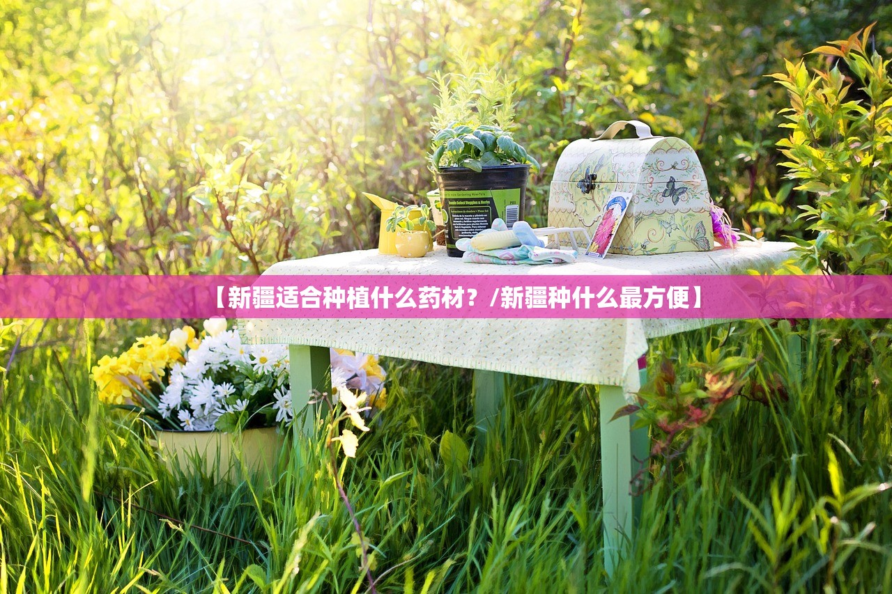 【新疆适合种植什么药材？/新疆种什么最方便】