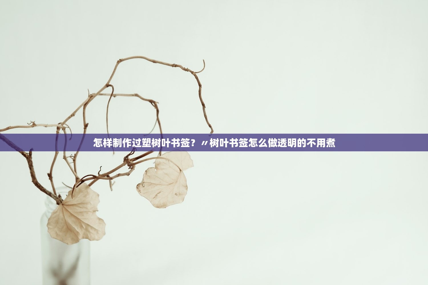 怎样制作过塑树叶书签？〃树叶书签怎么做透明的不用煮