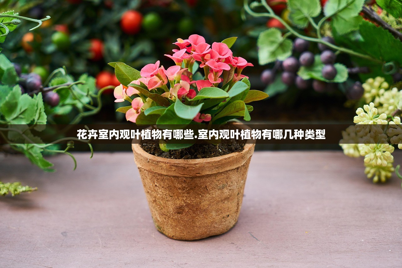花卉室内观叶植物有哪些.室内观叶植物有哪几种类型