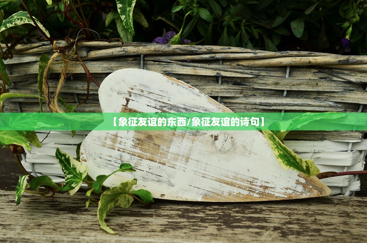 【象征友谊的东西/象征友谊的诗句】 【象征友谊的东西/象征友谊的诗句】