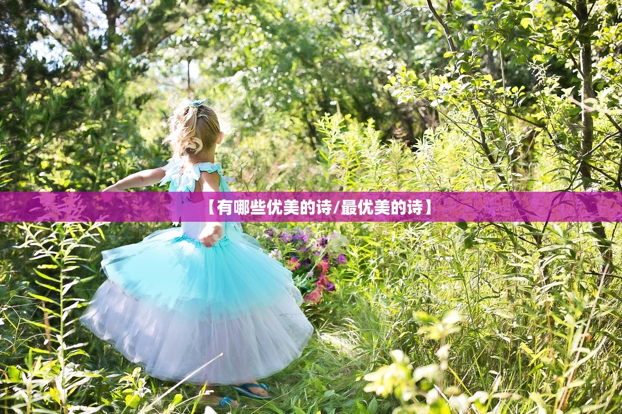 【有哪些优美的诗/最优美的诗】