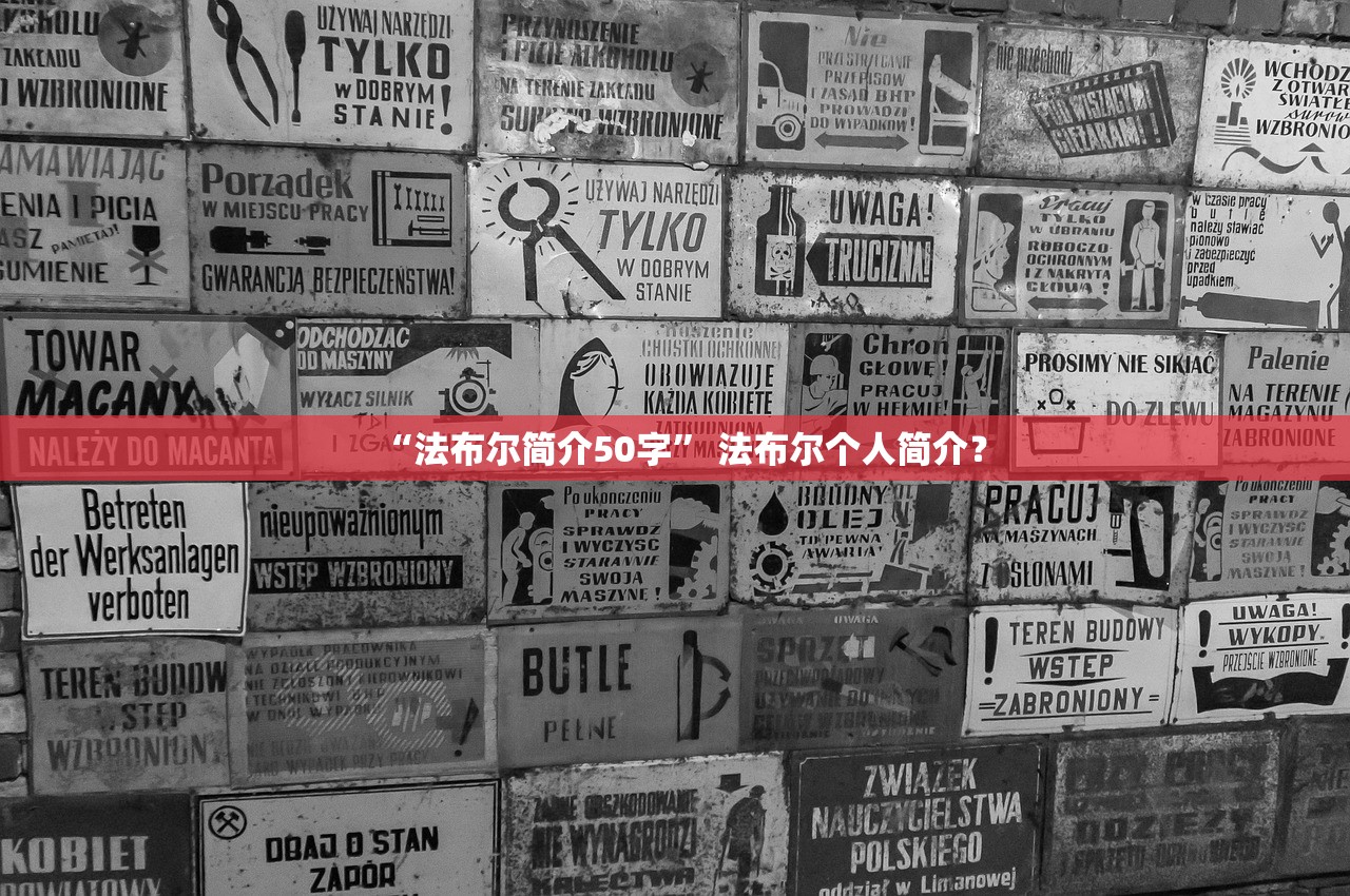 “法布尔简介50字” 法布尔个人简介？