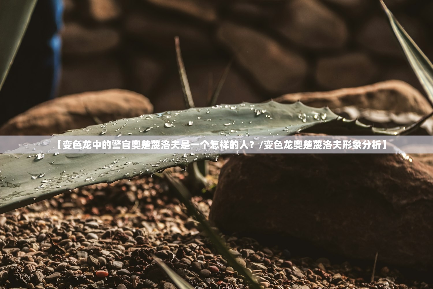 【变色龙中的警官奥楚蔑洛夫是一个怎样的人？/变色龙奥楚蔑洛夫形象分析】