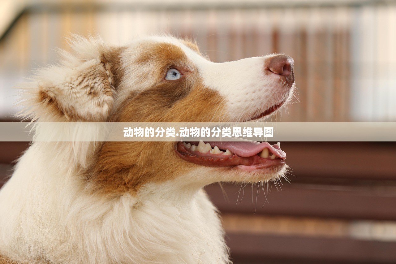 动物的分类.动物的分类思维导图
