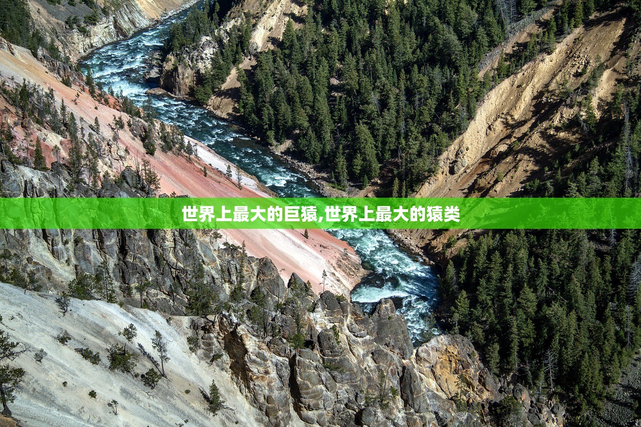 世界上最大的巨猿,世界上最大的猿类