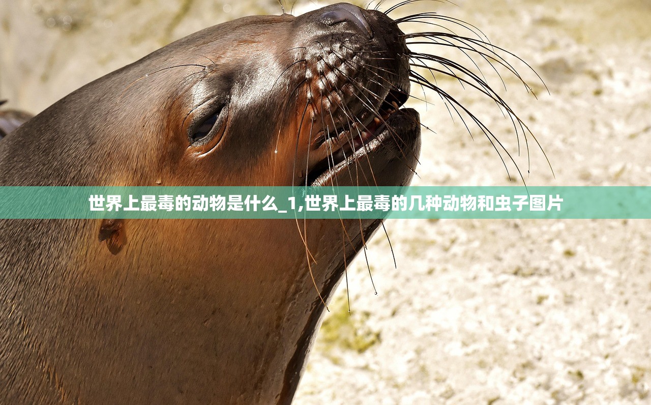 世界上最毒的动物是什么_1,世界上最毒的几种动物和虫子图片