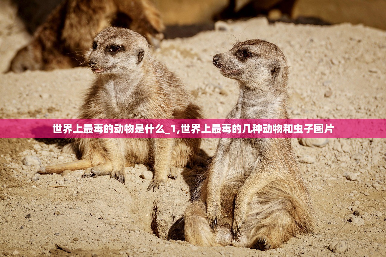 世界上最毒的动物是什么_1,世界上最毒的几种动物和虫子图片
