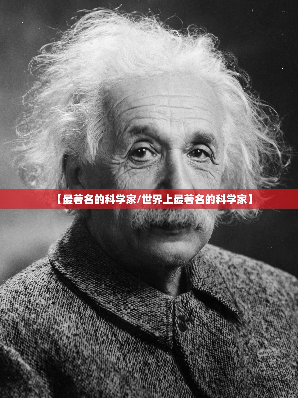 【最著名的科学家/世界上最著名的科学家】