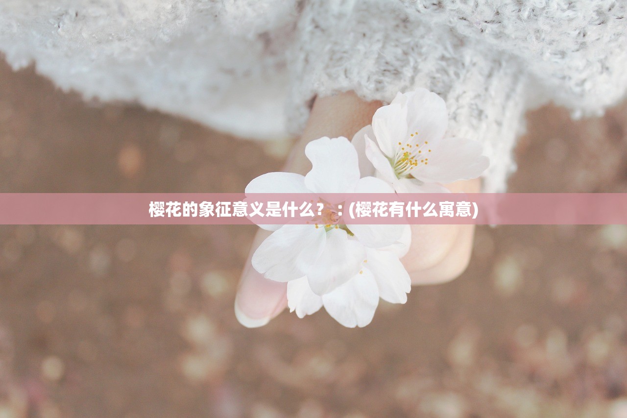 樱花的象征意义是什么？︰(樱花有什么寓意)