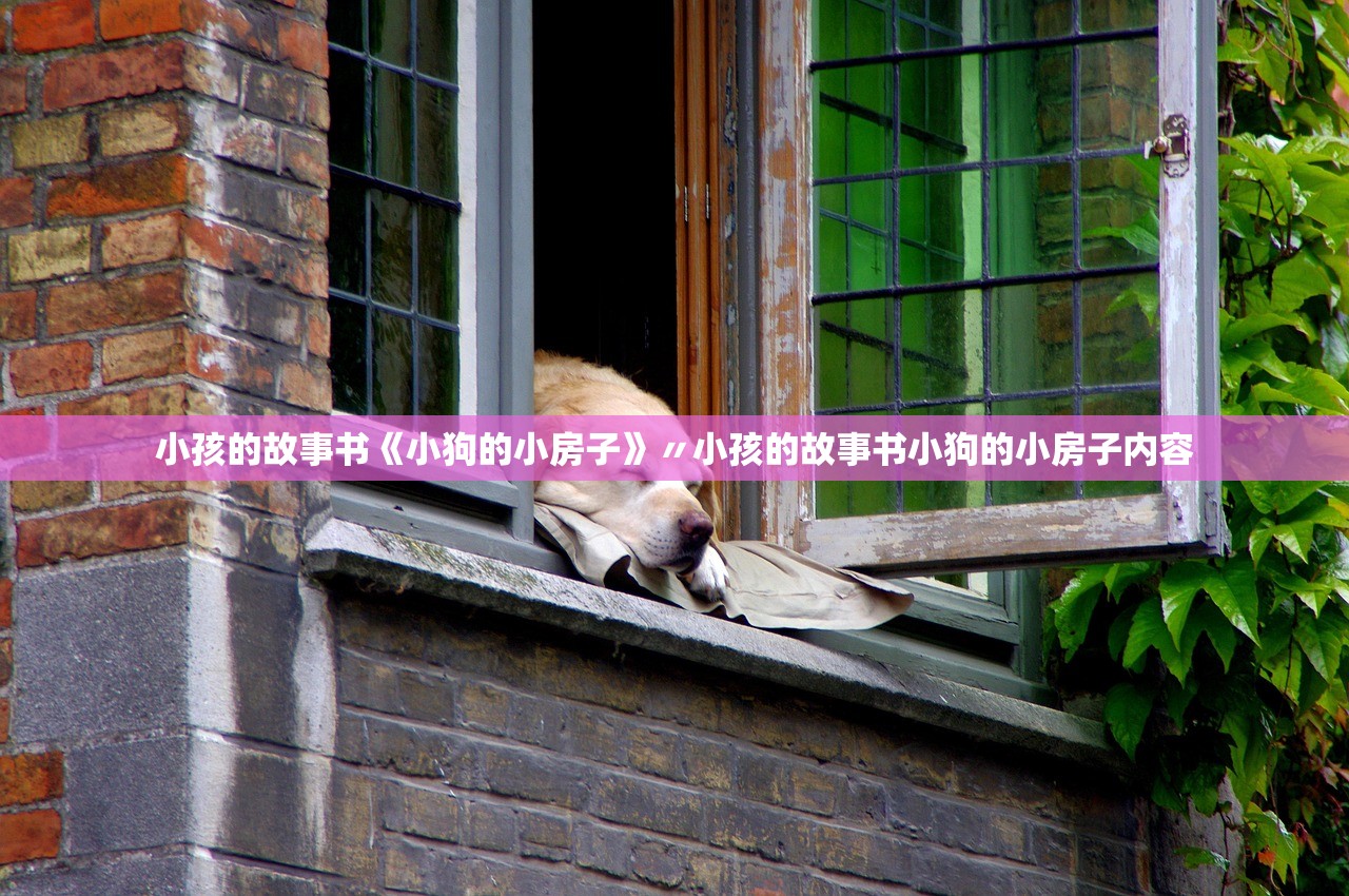 小孩的故事书《小狗的小房子》〃小孩的故事书小狗的小房子内容 小孩的故事书《小狗的小房子》〃小孩的故事书小狗的小房子内容