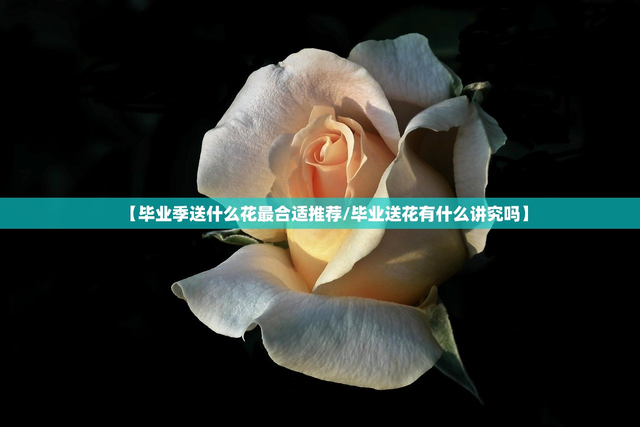 【毕业季送什么花最合适推荐/毕业送花有什么讲究吗】