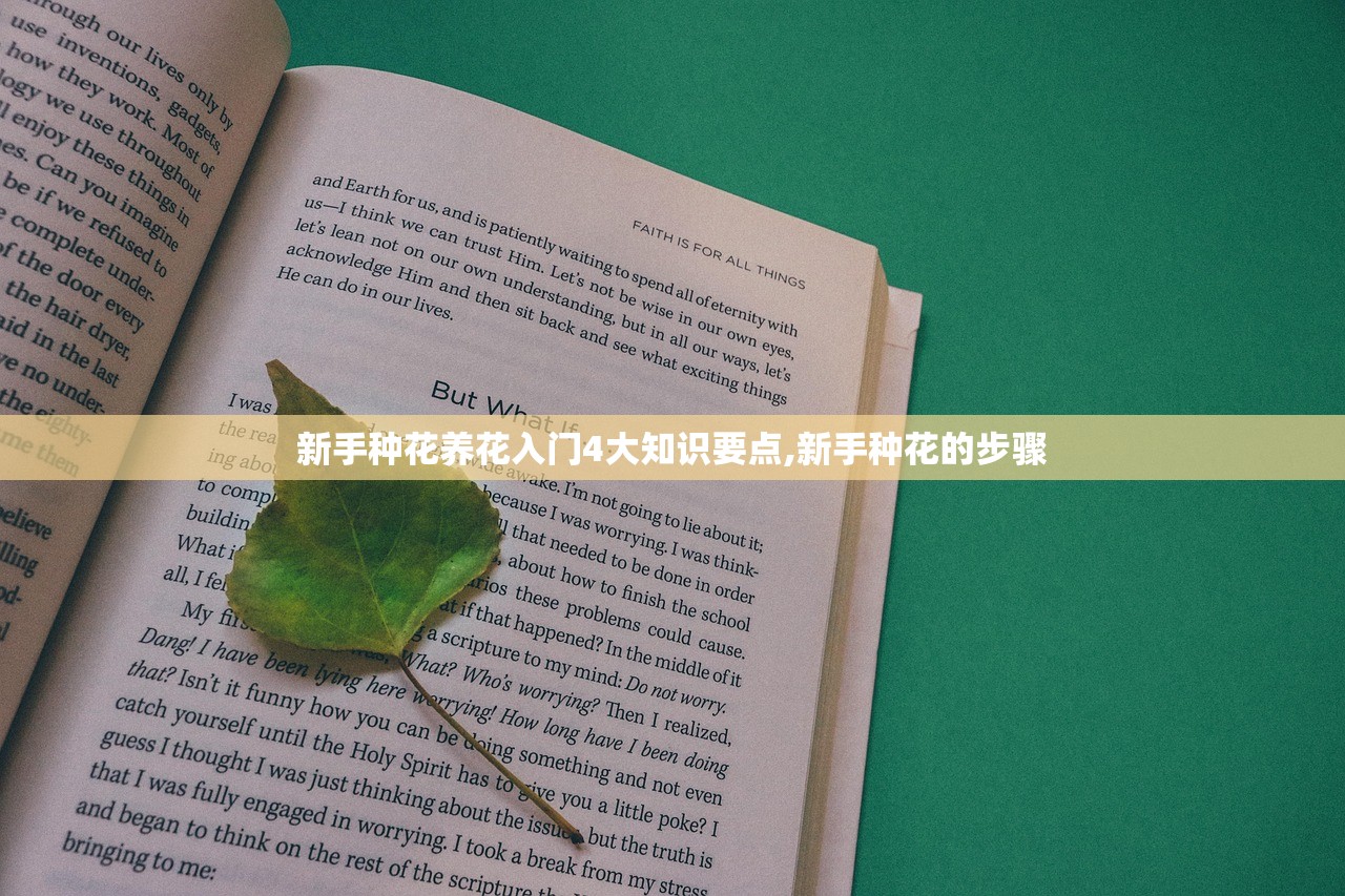 新手种花养花入门4大知识要点,新手种花的步骤