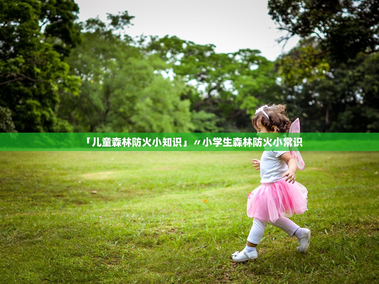 「儿童森林防火小知识」〃小学生森林防火小常识