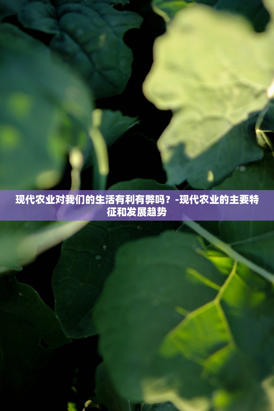 现代农业对我们的生活有利有弊吗?-现代农业的主要特征和发展趋势 现代农业对我们的生活有利有弊吗?-现代农业的主要特征和发展趋势