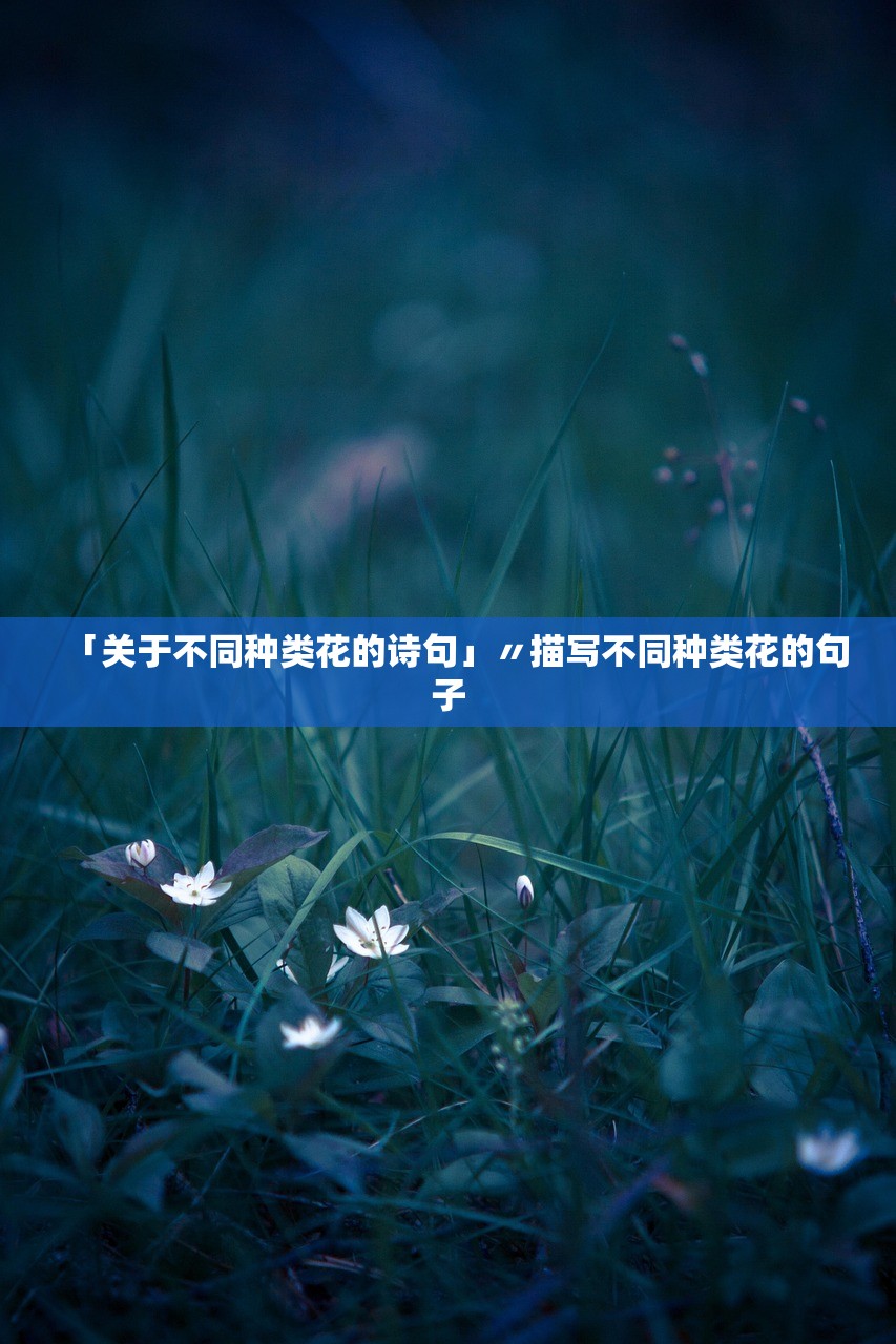「关于不同种类花的诗句」〃描写不同种类花的句子