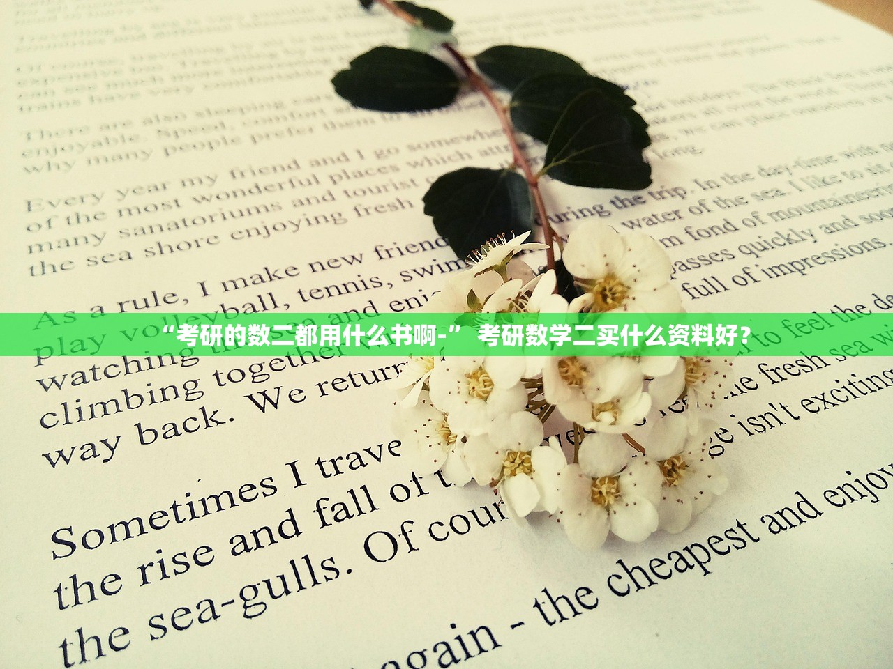 “考研的数二都用什么书啊-	” 考研数学二买什么资料好？