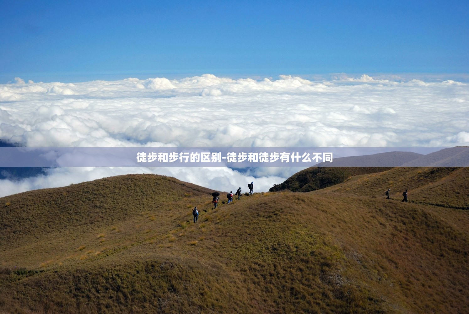 徒步和步行的区别-徒步和徒步有什么不同