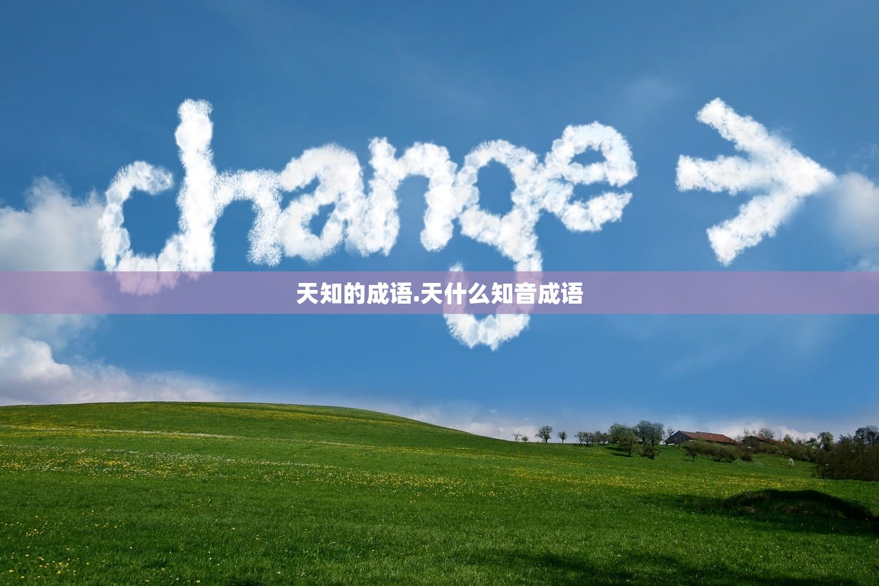 天知的成语.天什么知音成语