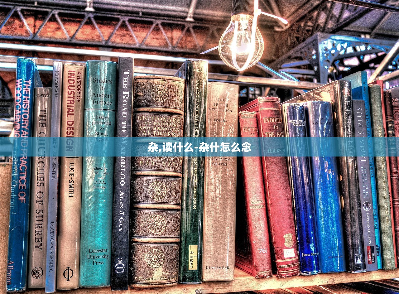 杂,读什么-杂什怎么念