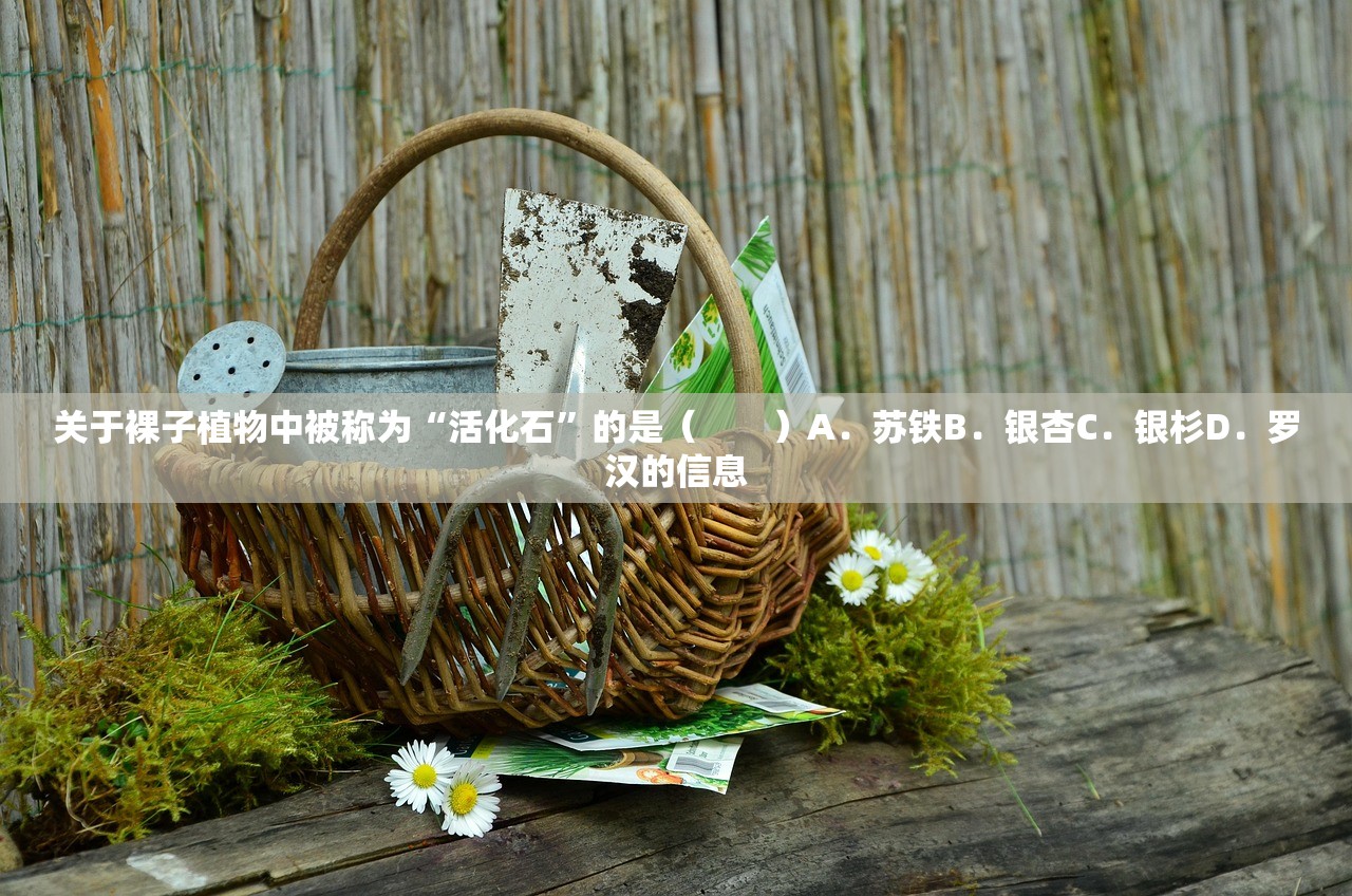 关于裸子植物中被称为“活化石	”的是（　　）A．苏铁B．银杏C．银杉D．罗汉的信息
