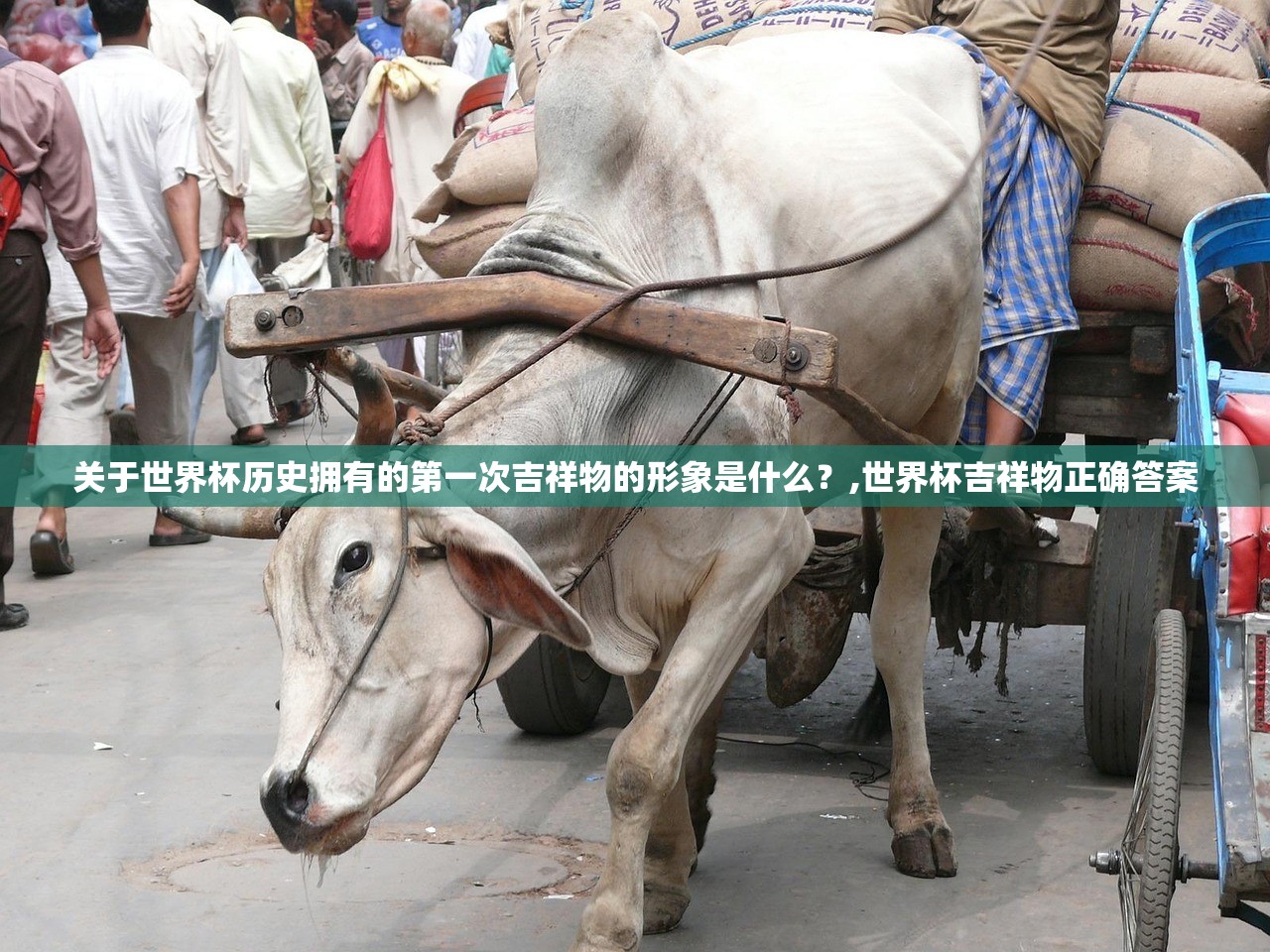 关于世界杯历史拥有的第一次吉祥物的形象是什么？,世界杯吉祥物正确答案