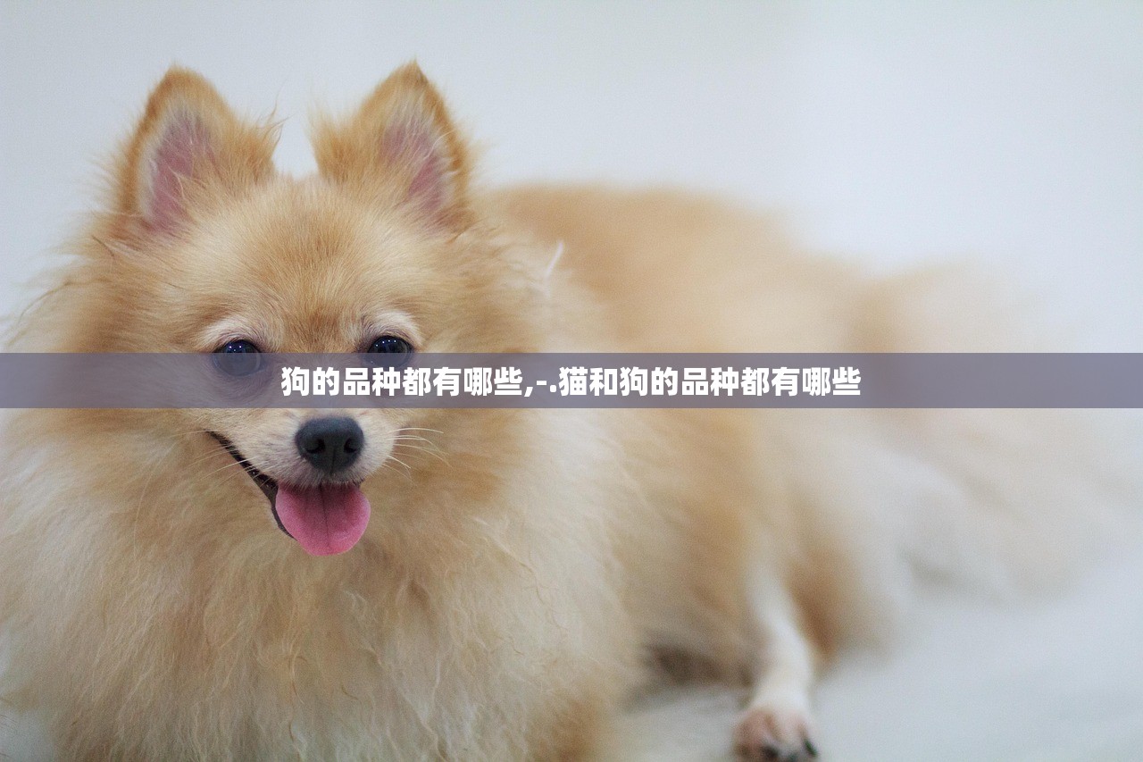 狗的品种都有哪些,-.猫和狗的品种都有哪些