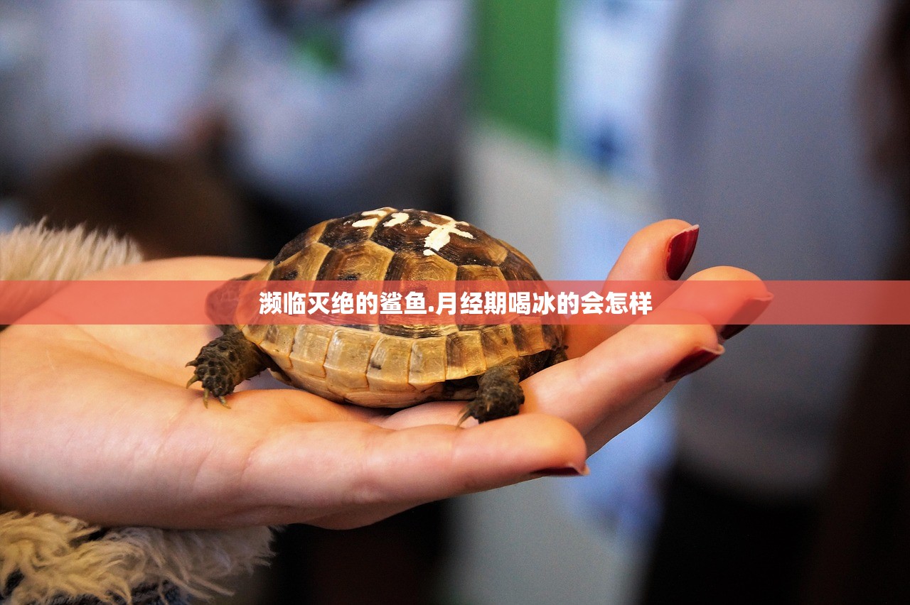 濒临灭绝的鲨鱼.月经期喝冰的会怎样 濒临灭绝的鲨鱼.月经期喝冰的会怎样