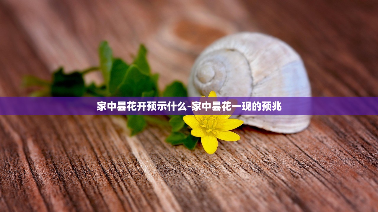 家中昙花开预示什么-家中昙花一现的预兆