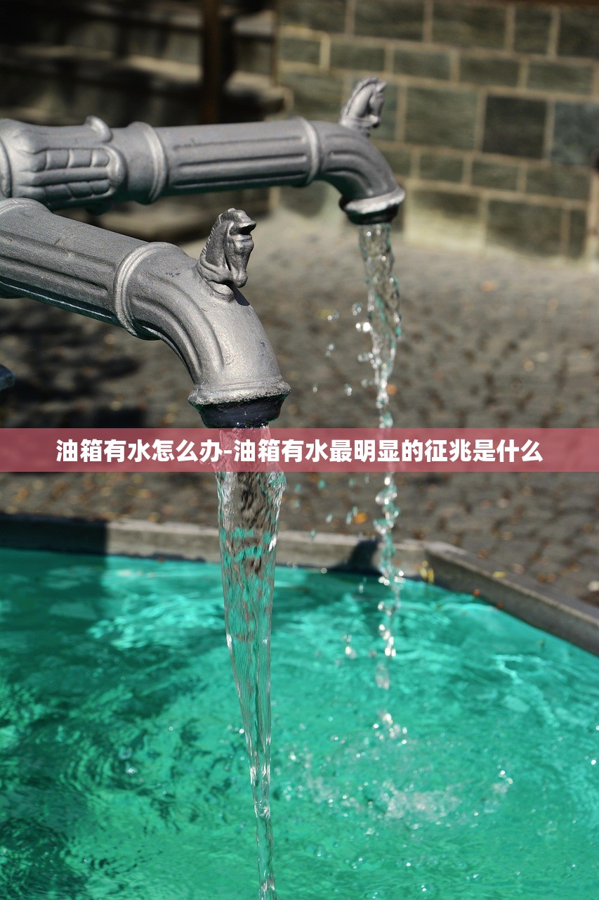 油箱有水怎么办-油箱有水最明显的征兆是什么