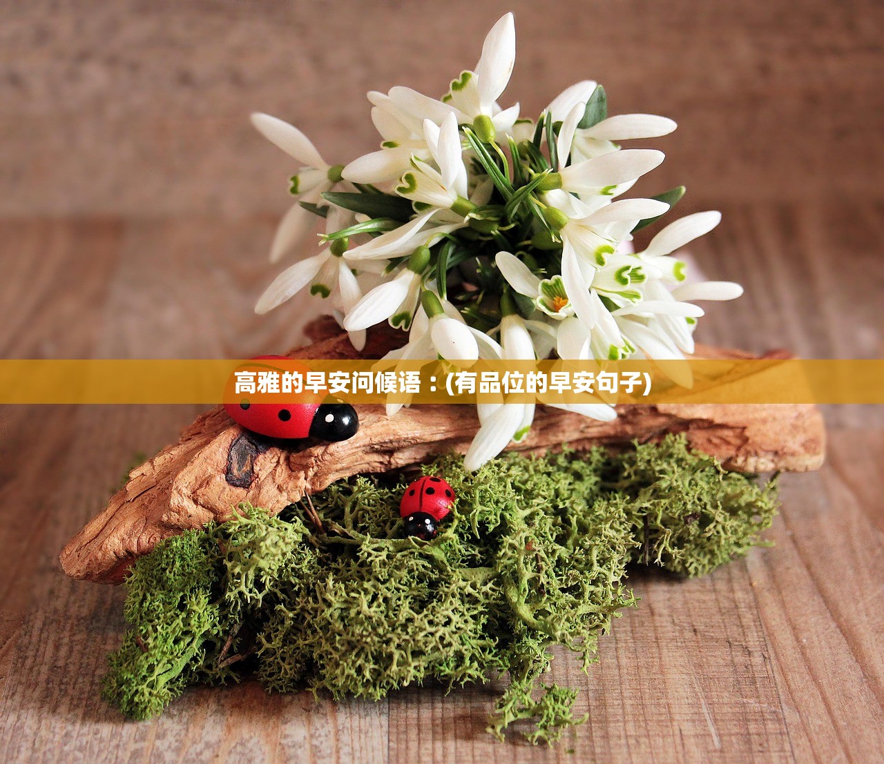 高雅的早安问候语︰(有品位的早安句子)