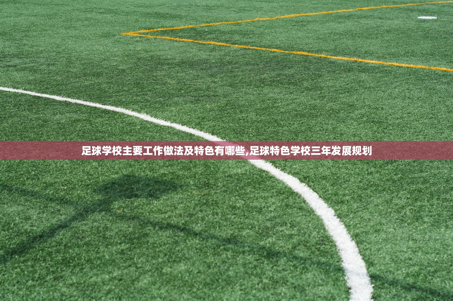 足球学校主要工作做法及特色有哪些,足球特色学校三年发展规划