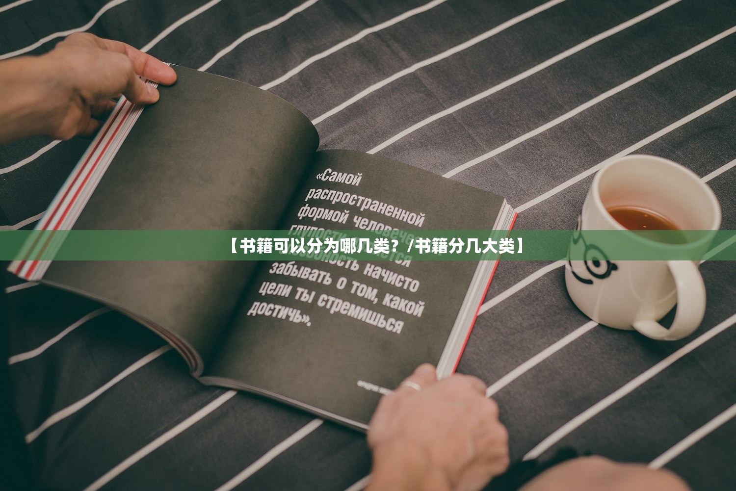 【书籍可以分为哪几类?/书籍分几大类】 【书籍可以分为哪几类?/书籍分几大类】