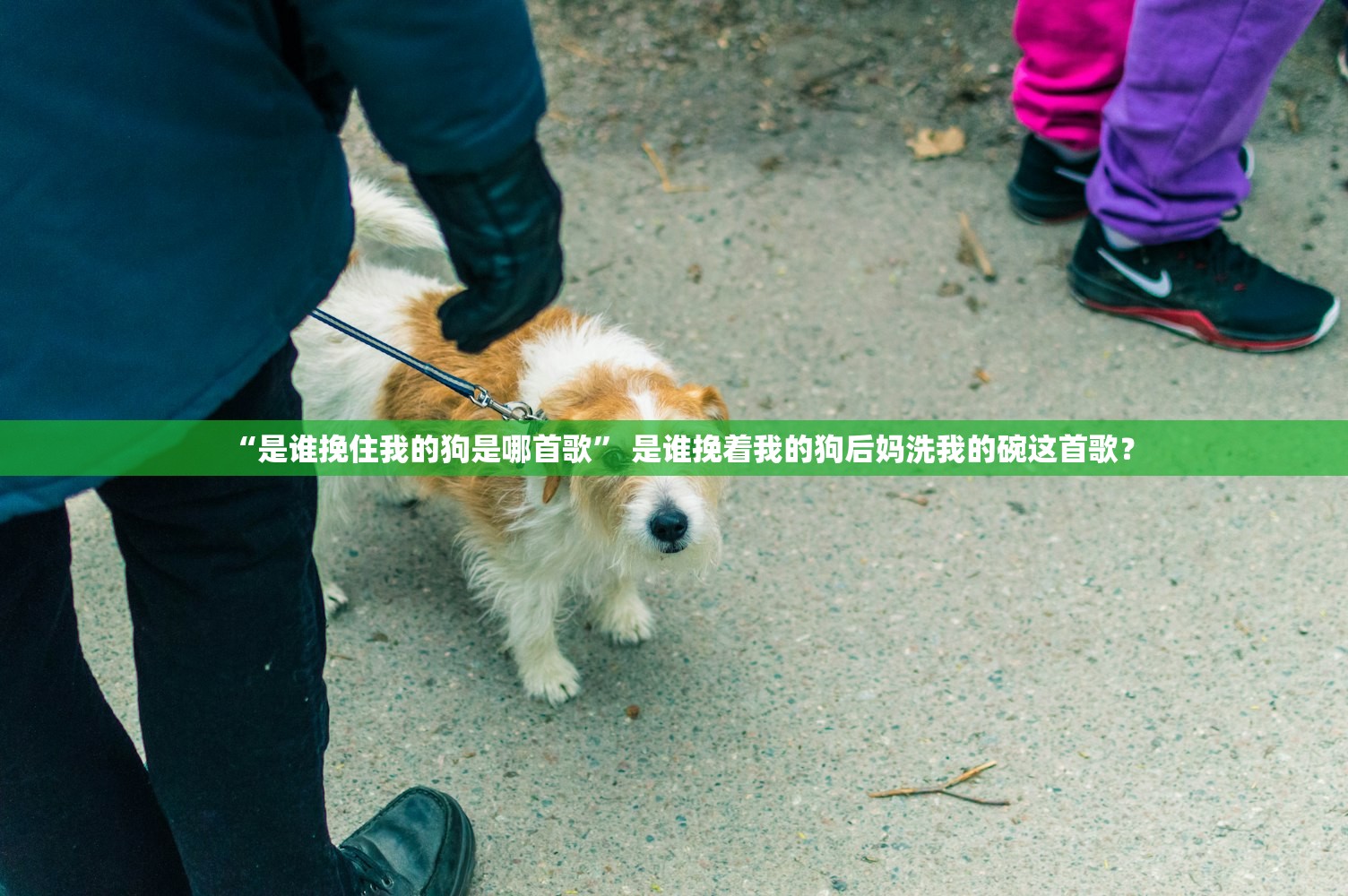 “是谁挽住我的狗是哪首歌	” 是谁挽着我的狗后妈洗我的碗这首歌？